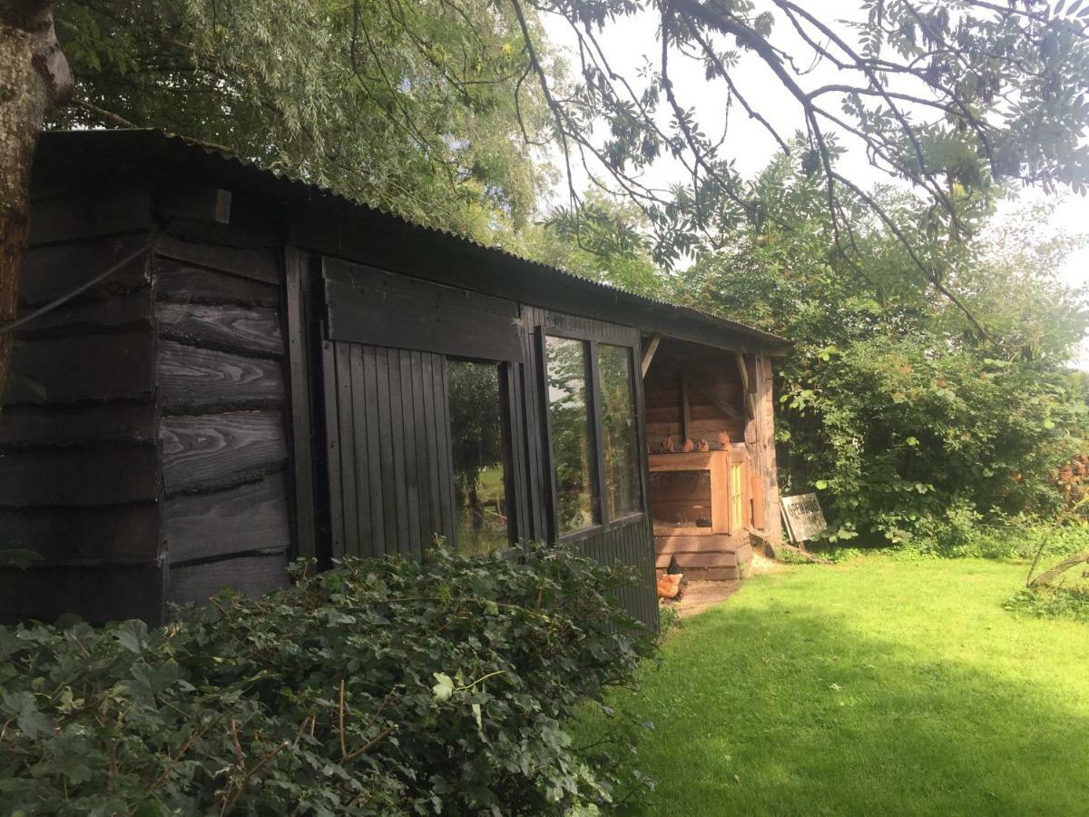 Гостьовий будинок Boerderij Met Atelier Далфсен Екстер'єр фото